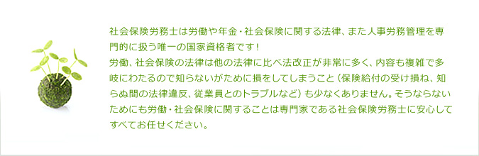 社会保険労務士は労働や年金・社会保険に関する法律、また人事労務管理を専門的に扱う唯一の国家資格者です! 労働、社会保険の法律は他の法律に比べ法改正が非常に多く、内容も複雑で多岐にわたるので知らないがために損をしてしまうこと(保険給付の受け損ね、知らぬ間の法律違反、従業員とのトラブルなど)も少なくありません。そうならないためにも労働・社会保険に関することは専門家である社会保険労務士に安心してすべてお任せください。
